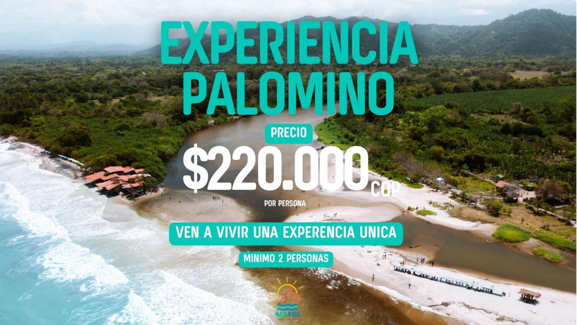 Mar Azul - Playa Y Turismo Villa Camarones ภายนอก รูปภาพ